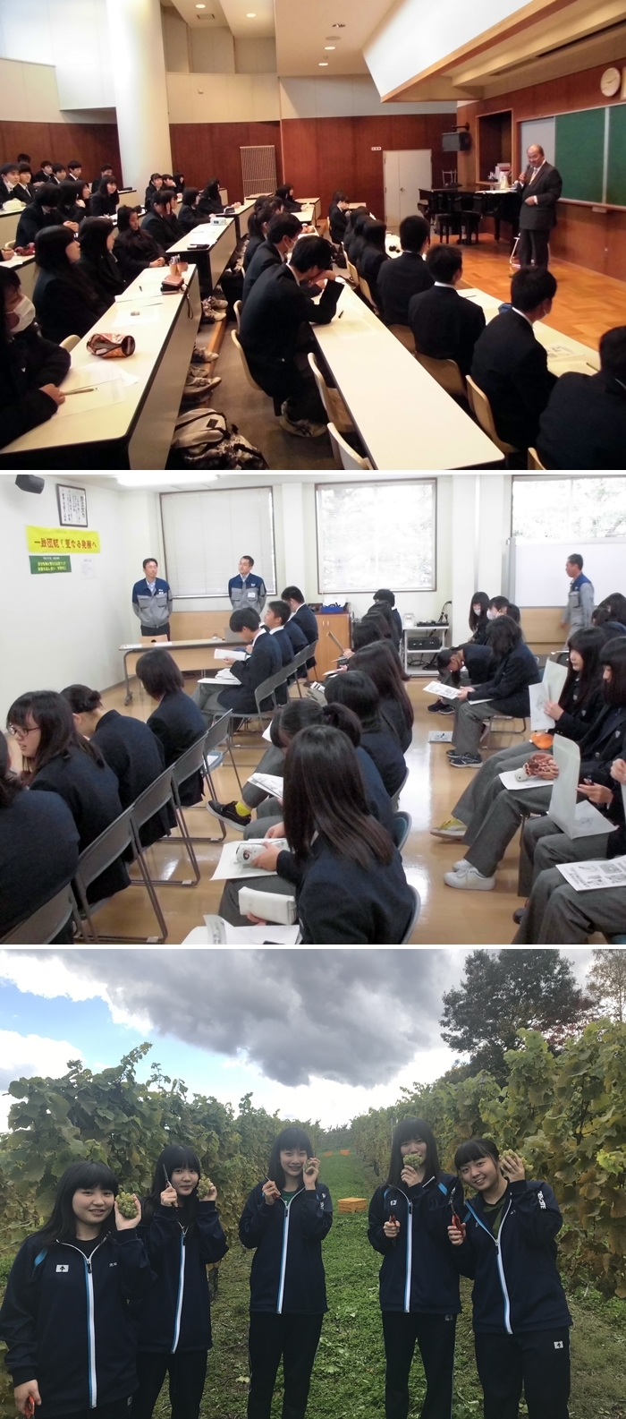画像 700x1585 792655byte