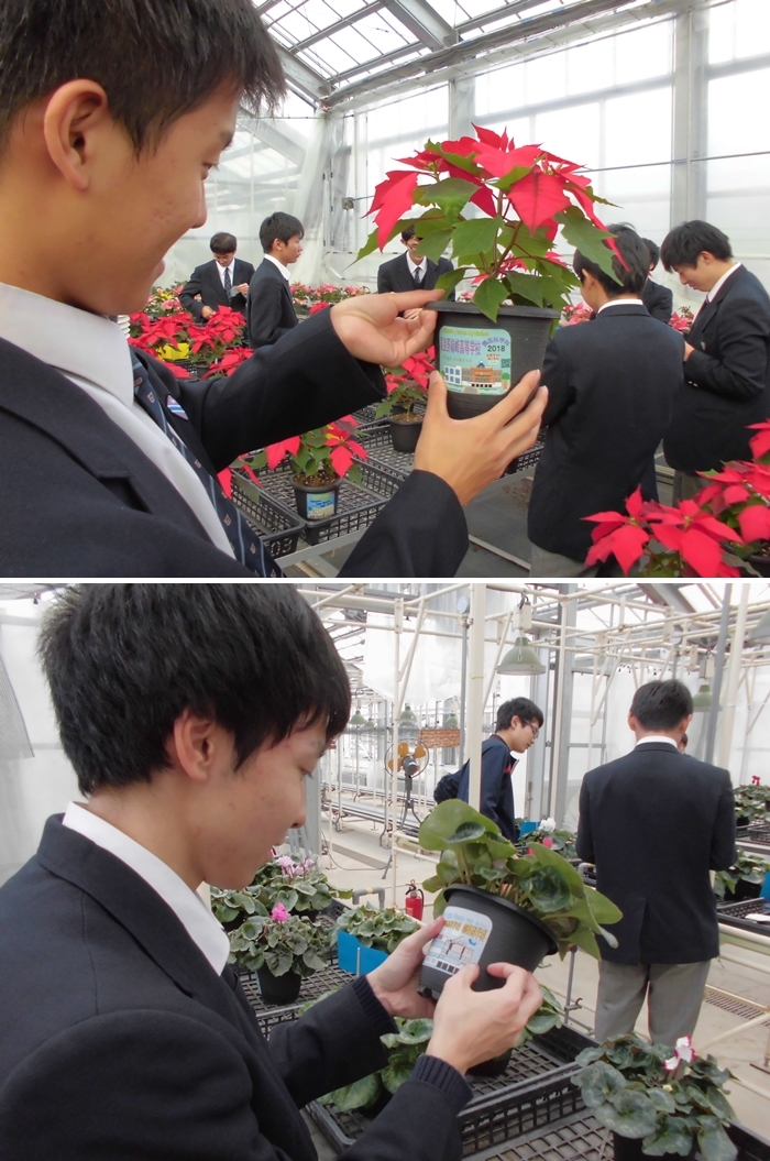 摜 700x1055 553153byte