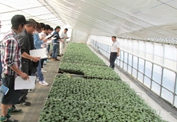 4月30日 野菜苗供給センター視察(富良野市)の写真