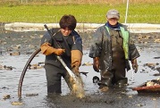 12月10日 国内農事視察研修 JAなめがた レンコン収穫体験(茨城県)の写真